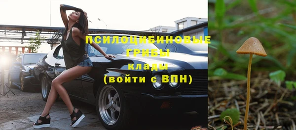 jwh Саяногорск
