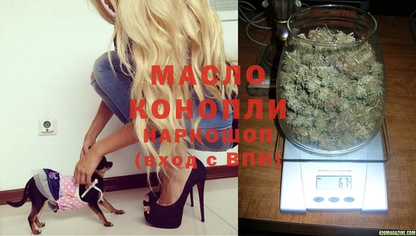 ешки Аркадак